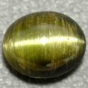 Cat's Eye Apatite from GemSelect